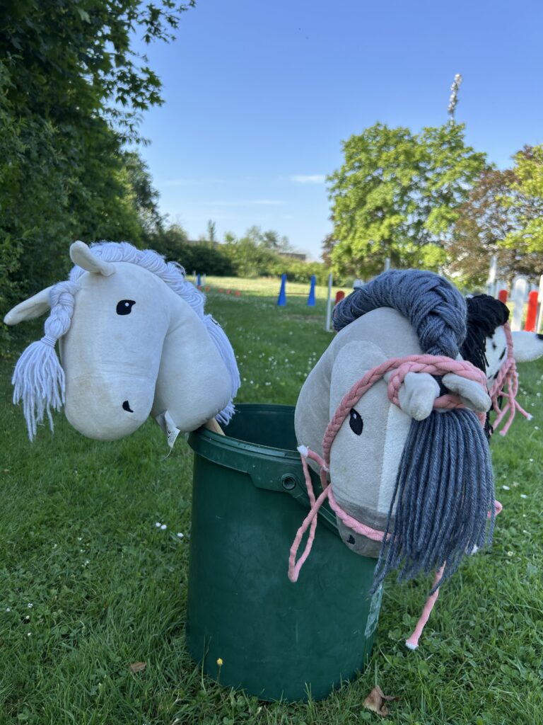 Hobby Horsing